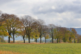 Detail fotografie