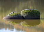 Detail fotografie